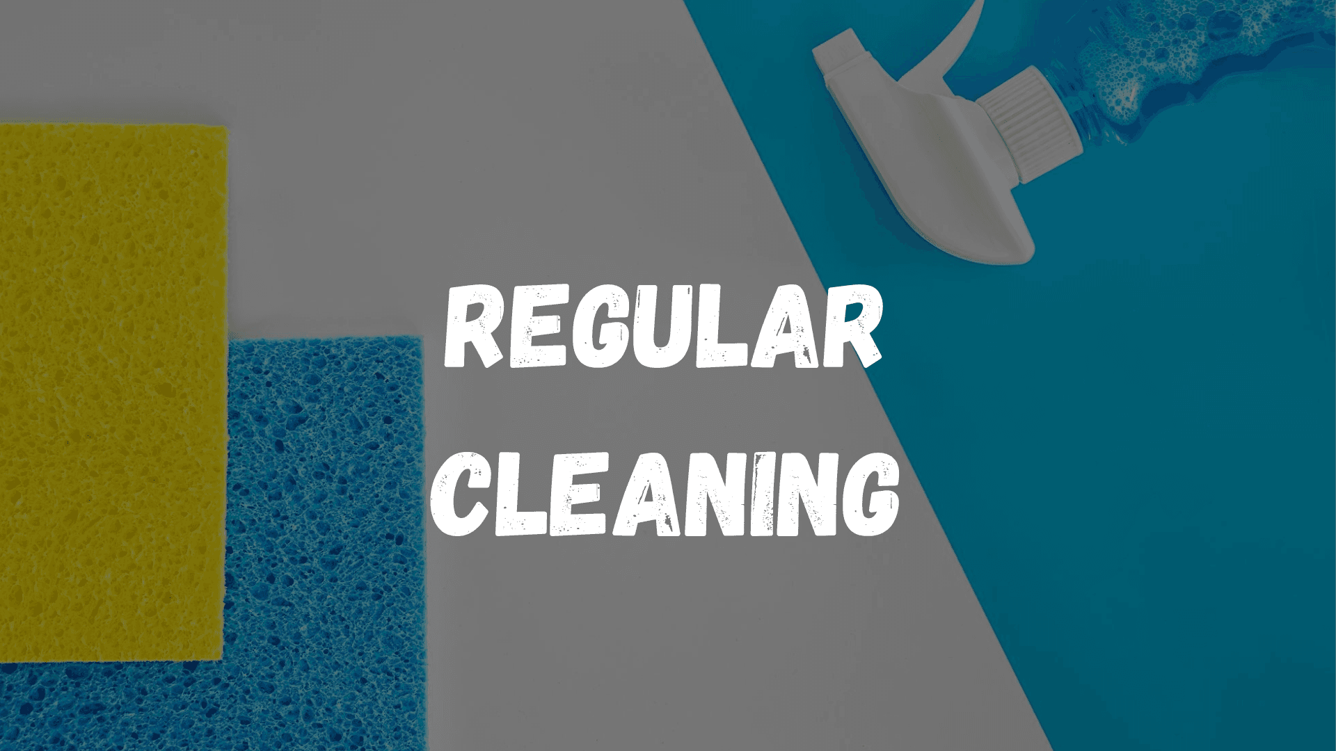 Regular Cleaning